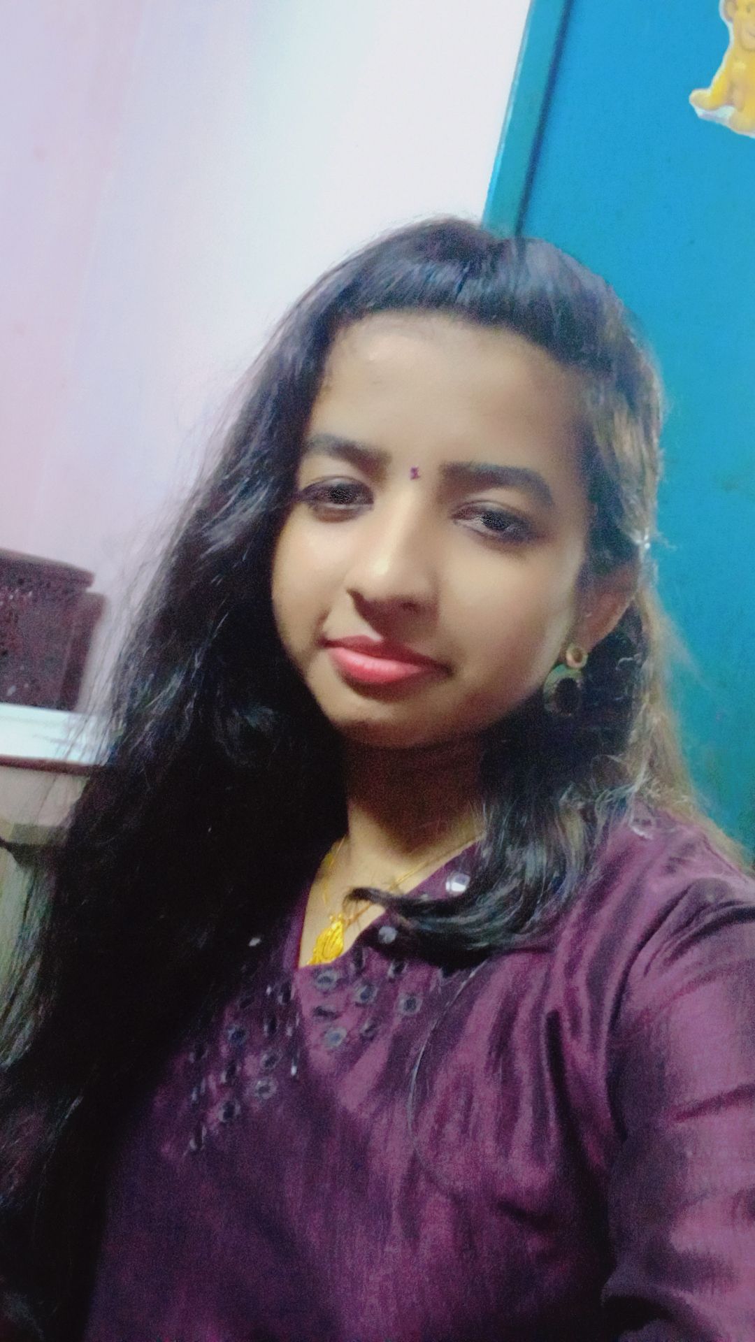 Krishna S S